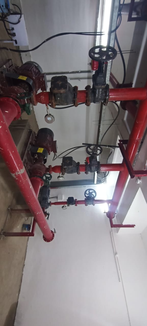 WhatsApp Image 2023-06-13 at 12.19.45 PM