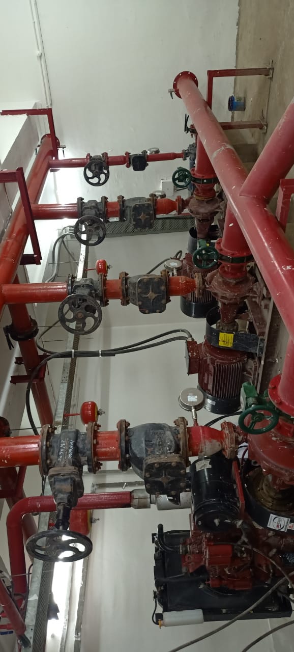 WhatsApp Image 2023-06-13 at 12.20.01 PM