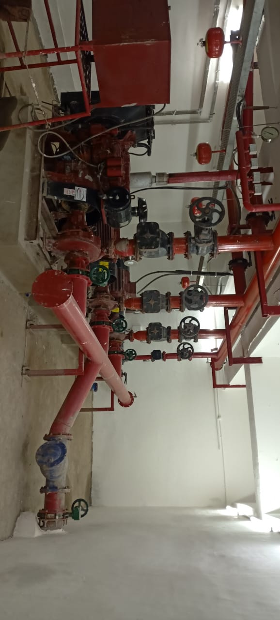 WhatsApp Image 2023-06-13 at 12.20.08 PM